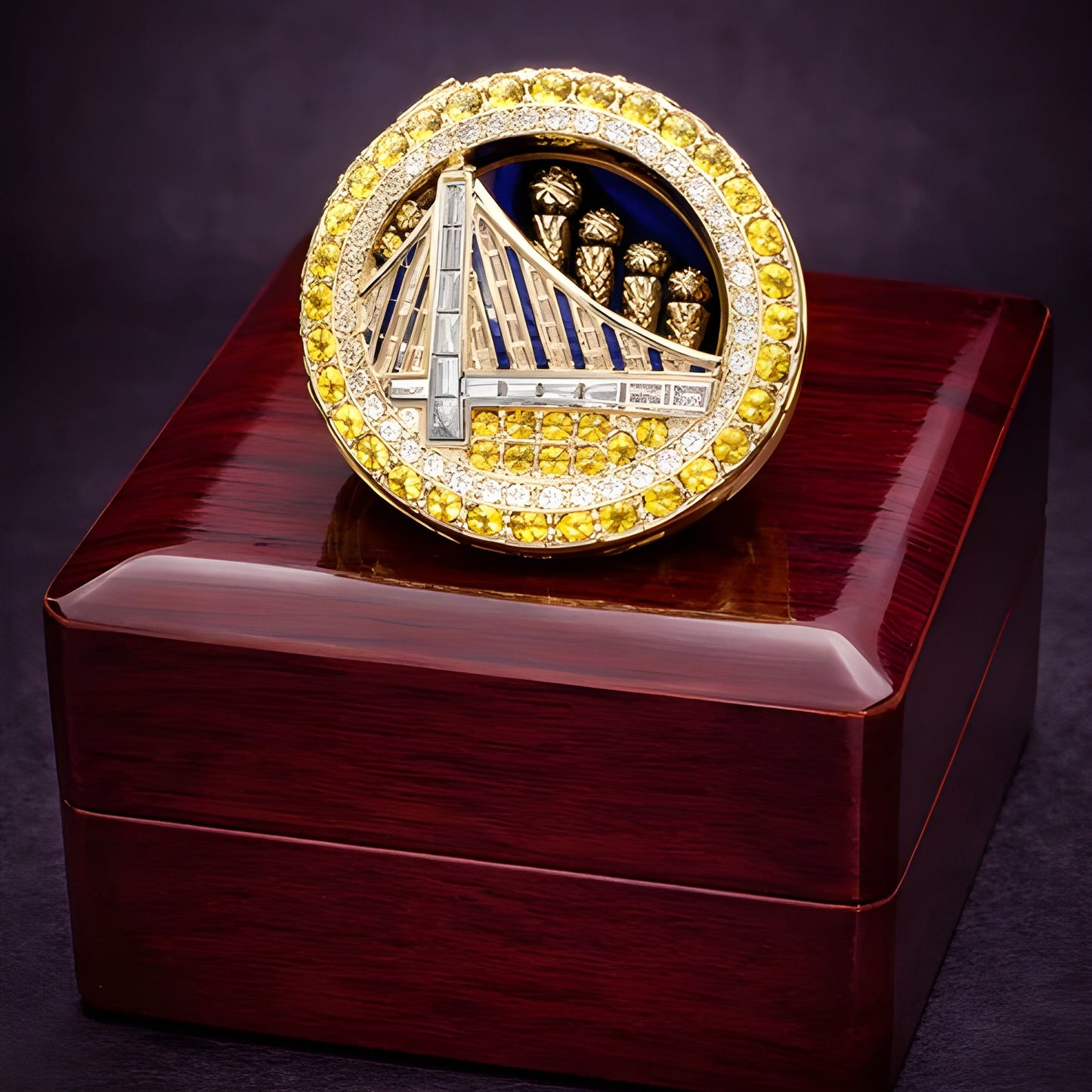 NBA Rings™